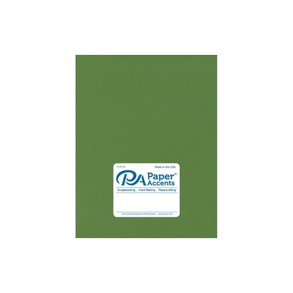 Cdstk Stash Builder 8.5x11 65lb Parrot (25 sheets)