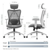 Sihoo High Back Lumbar Support and Breathable Computer Desk Chair, Light Gray