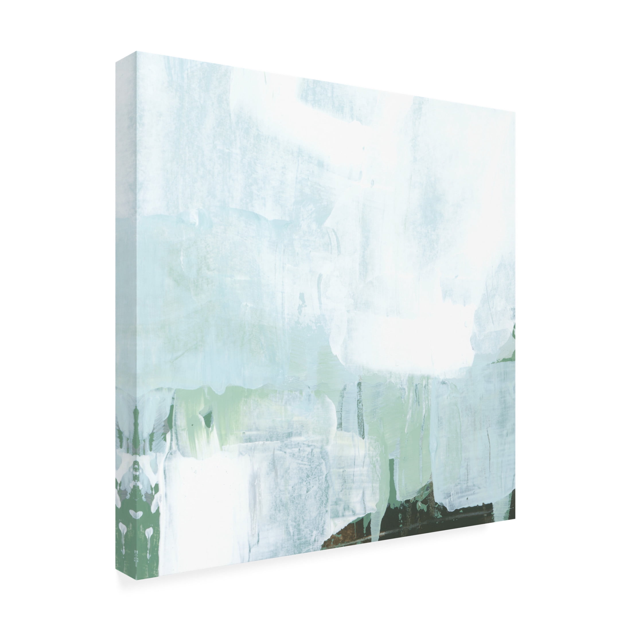 Trademark Fine Art June Erica Vess  Field Lens I Canvas Wall Art