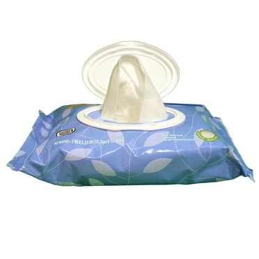 Great Value Fresh Scent Flushable Wipes, 1 Flip-Top Pack, 42 Total Flushable Wipes