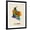 Black Frame, variant on Art.com Colombia Watercolor Map Stretched Canvas Print Wall Art by Michael Tompsett, 12" x 16"