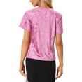 thumbnail image 3 of INSPIRE CHIC Women's Casual Round Neck Short Sleeve Velvet Top S Hot Pink, 3 of 6