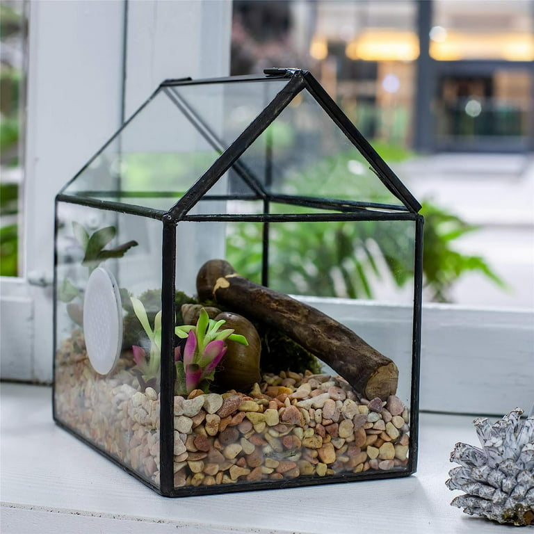 Bilot Small Glass Terrarium with Lid for Air Plants Moss Succulent, Handmade Geometric House Shape Close Glass Box for Snail Reptile Habitat, DIY