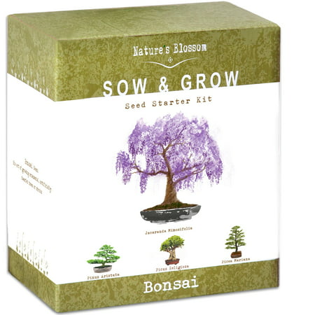 Nature's Blossom Bonsai Tree Grow Kit - 4 Bonsai Trees to Grow From (Best Seed Starter Kit)