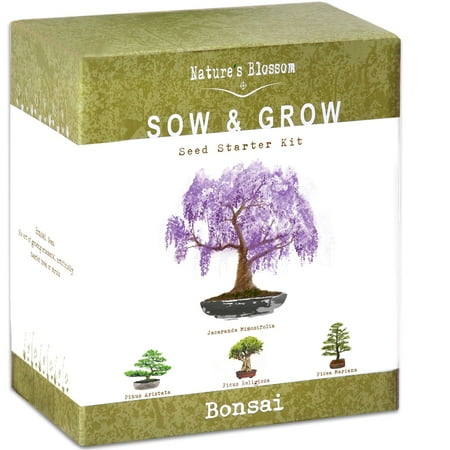Bonsai Kit - Nature's Blossom Bonsai Tree Starter Kit - 4 Bonsais to Grow From Seed