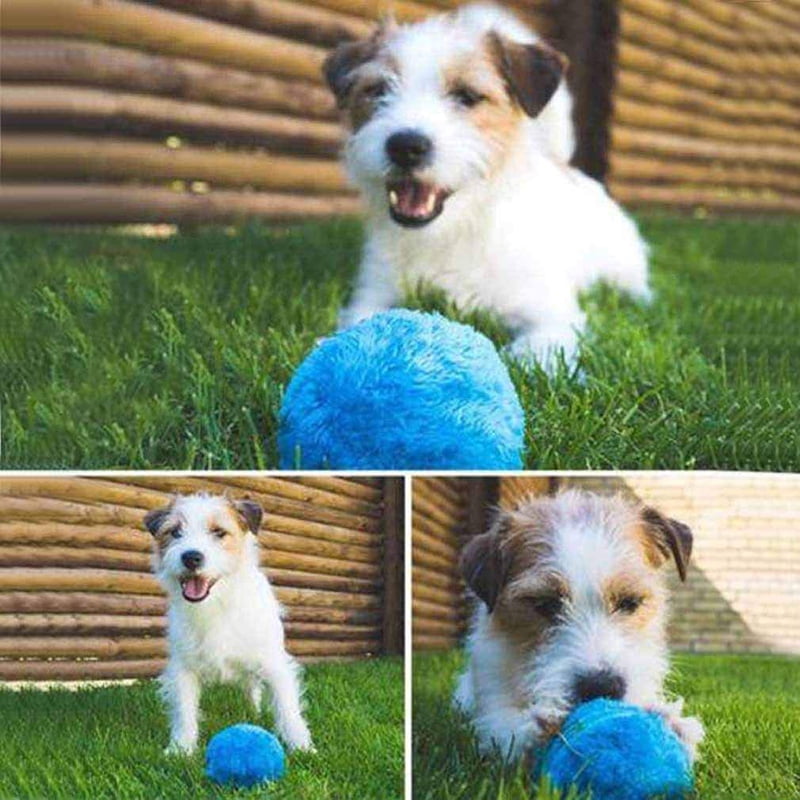 magic ball for dogs