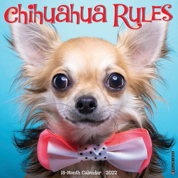 Chihuahua Rules 2022 Wall Calendar (Dog Breed) (Other)