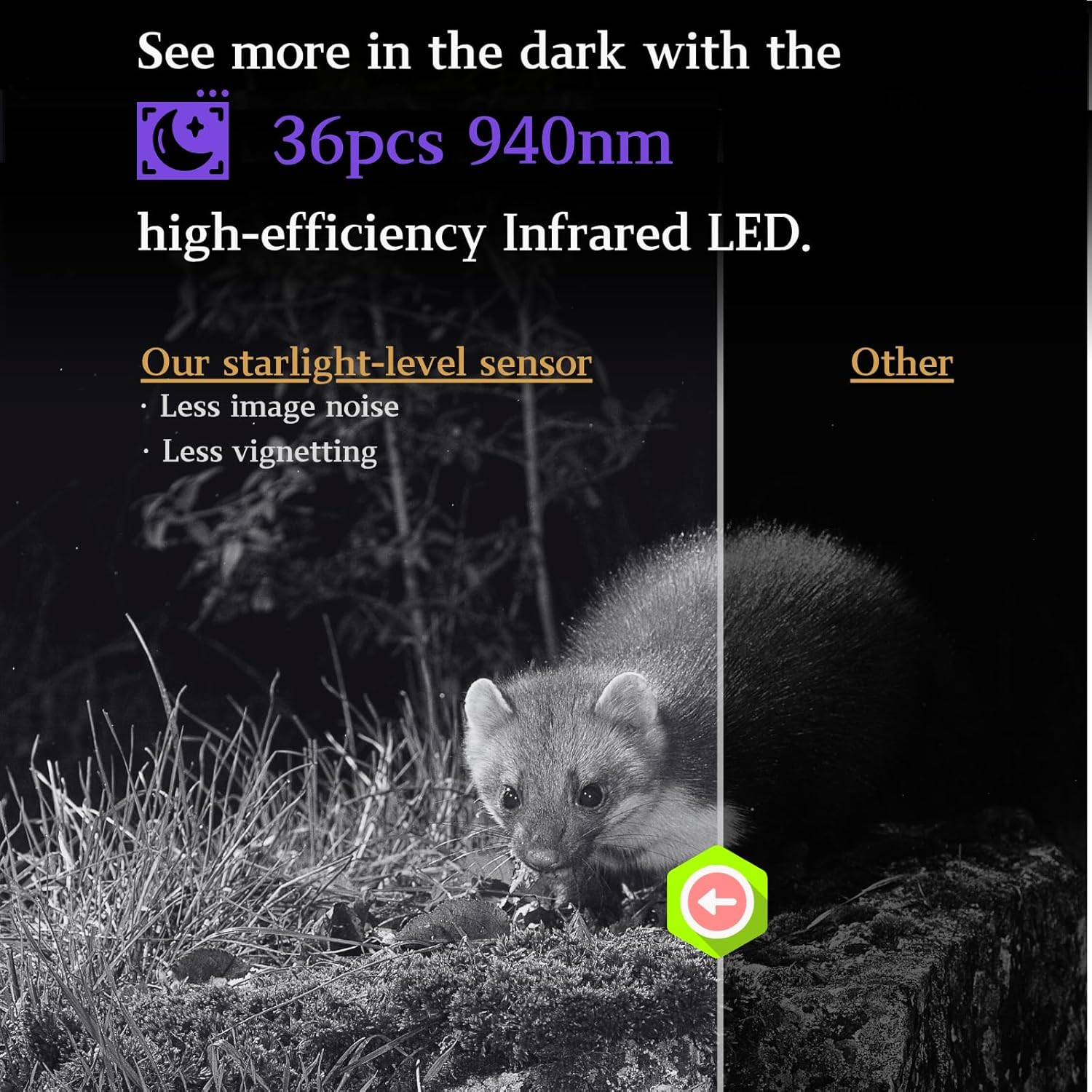 BlazeVideo Professional Game and Deer Trail Camera with Night Version 24MP Photo 1296P Video Wildlife Tree Cam Motion Activated No Glow IP66 Waterproof for Outdoor Tracking and Indoor Security