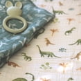 thumbnail image 4 of Aden + Anais Essentials 2-Pack Swaddles - Cotton Muslin - Dino Jungle, 4 of 4