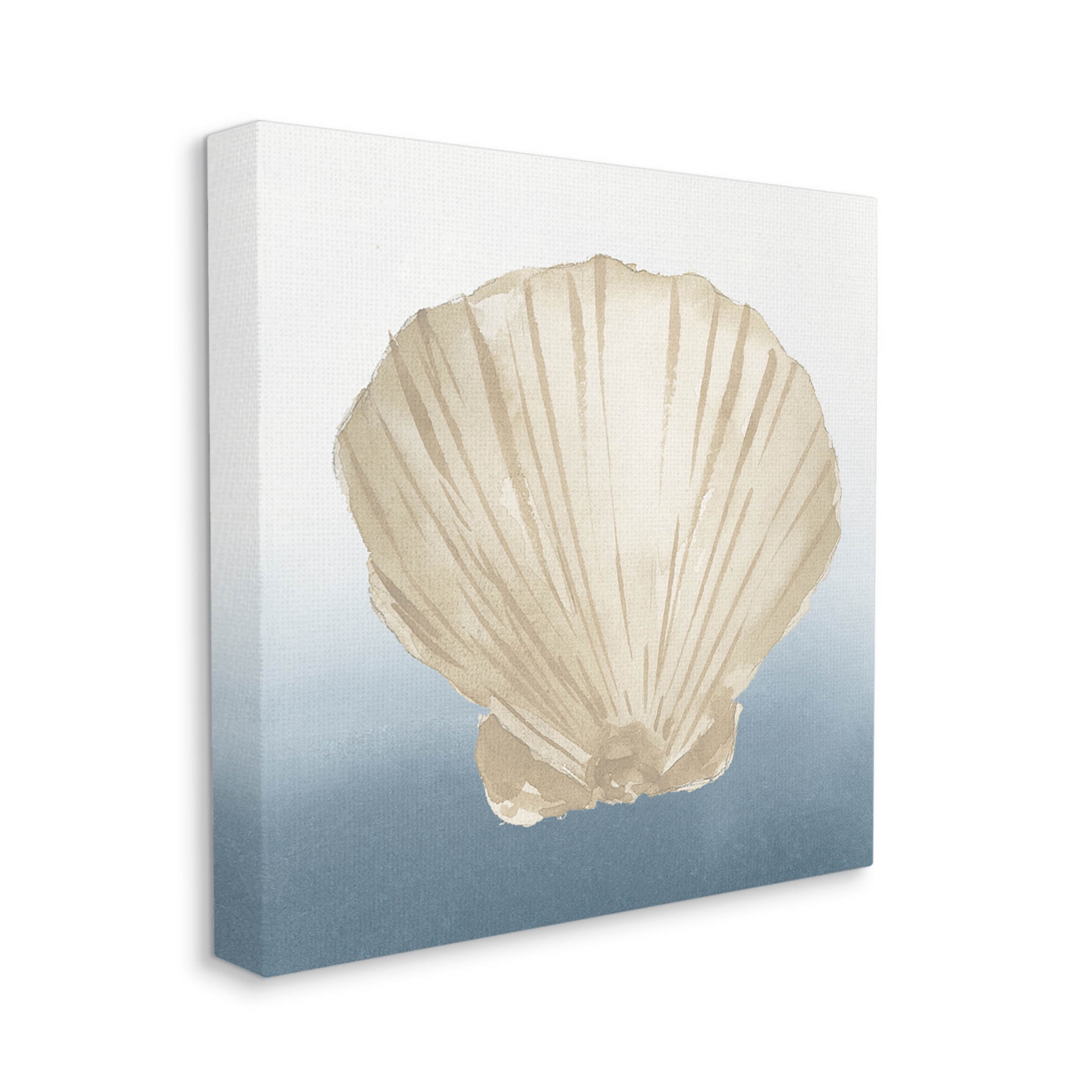 Aquatic Seashell Clam Composition Animals & Insects Graphic Art Gallery Wrapped Canvas Print Wall Art