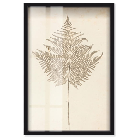 Fern Frond Shadowbox Print Botanical Art by Art Remedy, Black Frame, 10 x 15
