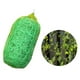 thumbnail image 5 of Red de enrejado verde para frutas, vides, pepinos, uvas, tomates y plantas trepadoras. Los 2x10m, 5 of 9