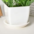 thumbnail image 4 of ACDANC 6-Pack Thick Durable Plastic Plant Trays - Large Deep Saucers for Indoor Outdoor (15x2cm), 4 of 7