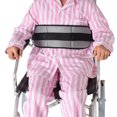 thumbnail image 1 of Arnés para silla de ruedas (gris) nuevo arnés abdominal ajustable, antideslizante y transpirable para personas mayores y enfermas. JM, 1 of 5