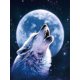 thumbnail image 1 of Pintura de diamante 5D Lobo bajo la luna Pintura decorativa para sala de estar (30 * 40 cm), 1 of 5
