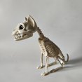 thumbnail image 1 of DFC Halloween Skeleton Skeleton Skeleton Photo Props Halloween Skeleton Skeleton Venue Layout Props Scary Scary Cat White Bones Sitting Cat Yard Layout Props, 1 of 9
