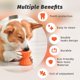 thumbnail image 3 of Juguetes interactivos para cachorros YONGSHENG que dispensan golosinas huesos de perro masticables resistentes, 3 of 5