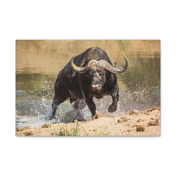 Water Buffalo Hunting Water Buffalo on Hunt Print Animal Wall Art Wildlife Canvas Prints Wall Art Ready to Hang Unframed