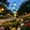 Blue, variant on Tulips Solar Garden Lights,27.9" Height Sensor Light Waterproof for Garden Decoration,EDs Outdoor Lights, Pathway Lights Outdoor for Yard Patio Flower Bed Walkway Decoration