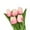 A2, variant on Seewan Artificial Tulips Bridal Wedding Party Holiday Decoration Bouquets Real Touch PU Bouquet Pack of 5