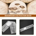 thumbnail image 5 of 100Pcs Mushroom Growing Bag Spawn Bags Thick 6 Bags 5.9inchx13.8inch 0.2 Micrometre Filter Breathable Autoclavable, 5 of 9
