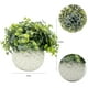 thumbnail image 3 of Planta artificial pequeña, plantas artificiales como las reales en maceta, plantas decorativas para baño, plantas decorativas en maceta, plantas artificiales decorativas, 3 of 4