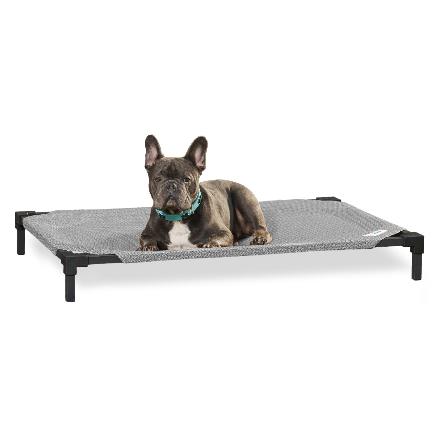 Coolaroo Cooling Elevated Dog Bed Pro with Heatshield photo 2
