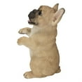 thumbnail image 2 of Standing French Bulldog, 2 of 2