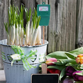 thumbnail image 5 of 4X Soil Moisture Meter, Plant Water Meter Indoor & Outdoor,Sensor Hygrometer Soil Tester for Potted Plants, 5 of 9