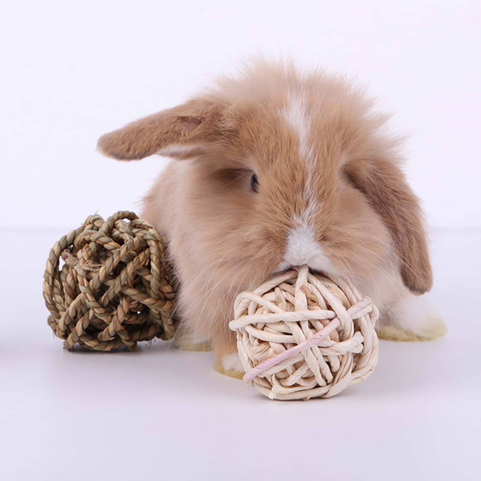DOPI 6Pcs/Set Molar Toy Healthy Attractive Plastic Hamster Wooden Rattan Ball Set for Squirrels