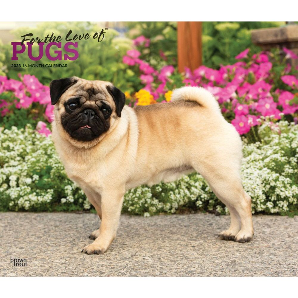 Pugs For the Love of 2023 Deluxe Wall Calendar