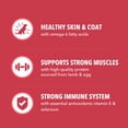 thumbnail image 6 of Iams Proactive Health Minichunks Dry Dog Food with Real Lamb & Rice, 15 lb. Bag, 6 of 9