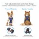 thumbnail image 5 of Arnes Para Perros De Raza Chica. Pechera Talla Extra Chica, 5 of 8