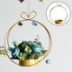 thumbnail image 5 of Macetas geométricas portátiles de Metal para plantas de interior, macetas de flores nórdicas modernas, maceta decorativa , soporte para dec Circulo, 5 of 7