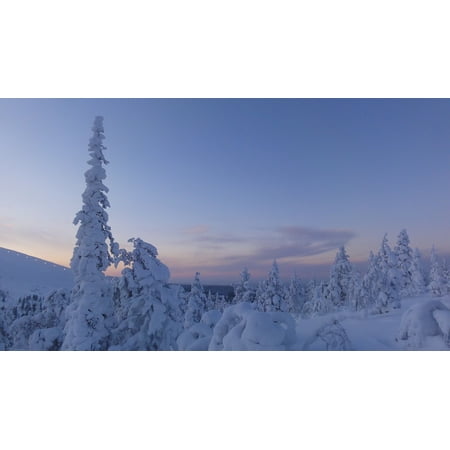 laminated poster snow snowy