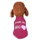 thumbnail image 1 of Chaleco para Mascotas Cómodo Otoño Transpirable onlyliua para El Hogar Perro Pequeño Gato Ropa Fina, 1 of 7