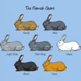thumbnail image 3 of CafePress - Flemish Giant Rabbit Light T Shirt - Men's Classic Graphic T-Shirt, 3 of 4