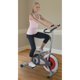stamina indoor cycle 1305 parts