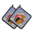 thumbnail image 1 of Carolines Treasures BB2795PTHD Chien Maison Collection Aérée Paire de Porte-Pots, 1 of 3