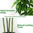 thumbnail image 3 of Árbol de dracaena artificial FSOHOI con maceta alta blanca de 5 pies, 3 of 6