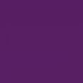 thumbnail image 4 of Playera Blusa De Osita Lista Para Viajar Fashion Moda Casual Ropa Para Mujer Color Morado Talla Grande Marca Emil SaEs, 4 of 4