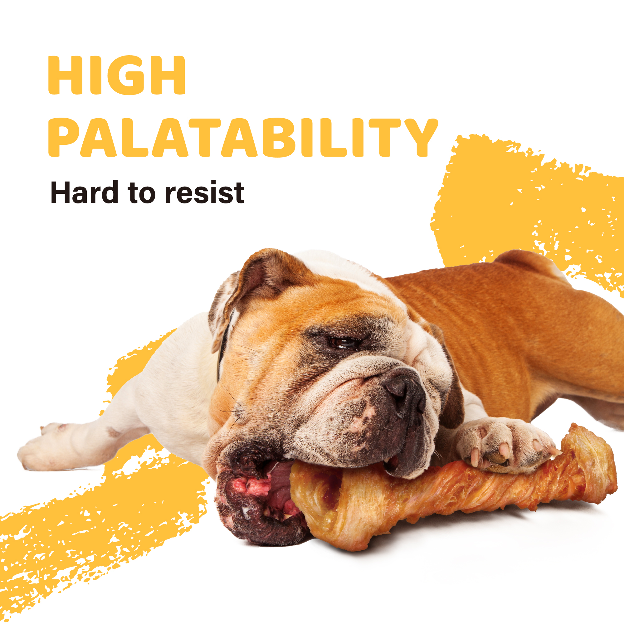 iPaw Turkey Tendon for Dogs, Ingredient Sourced from USA,  All Natural Human Grade Puppy Chew, Rawhide Alternative, 10 Units/Box bone (Large)