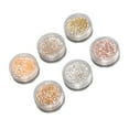 thumbnail image 4 of Polvo para decoración de uñas BuyWeek 6 colores kit de lentejuelas, 4 of 14