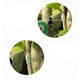 thumbnail image 4 of Rollos de barrera contra la humedad, cinta de injerto de Pe, película de floristería elástica autoadhesiva biodegradable para varias plántulas de árboles frutales de jardín, 4 of 5