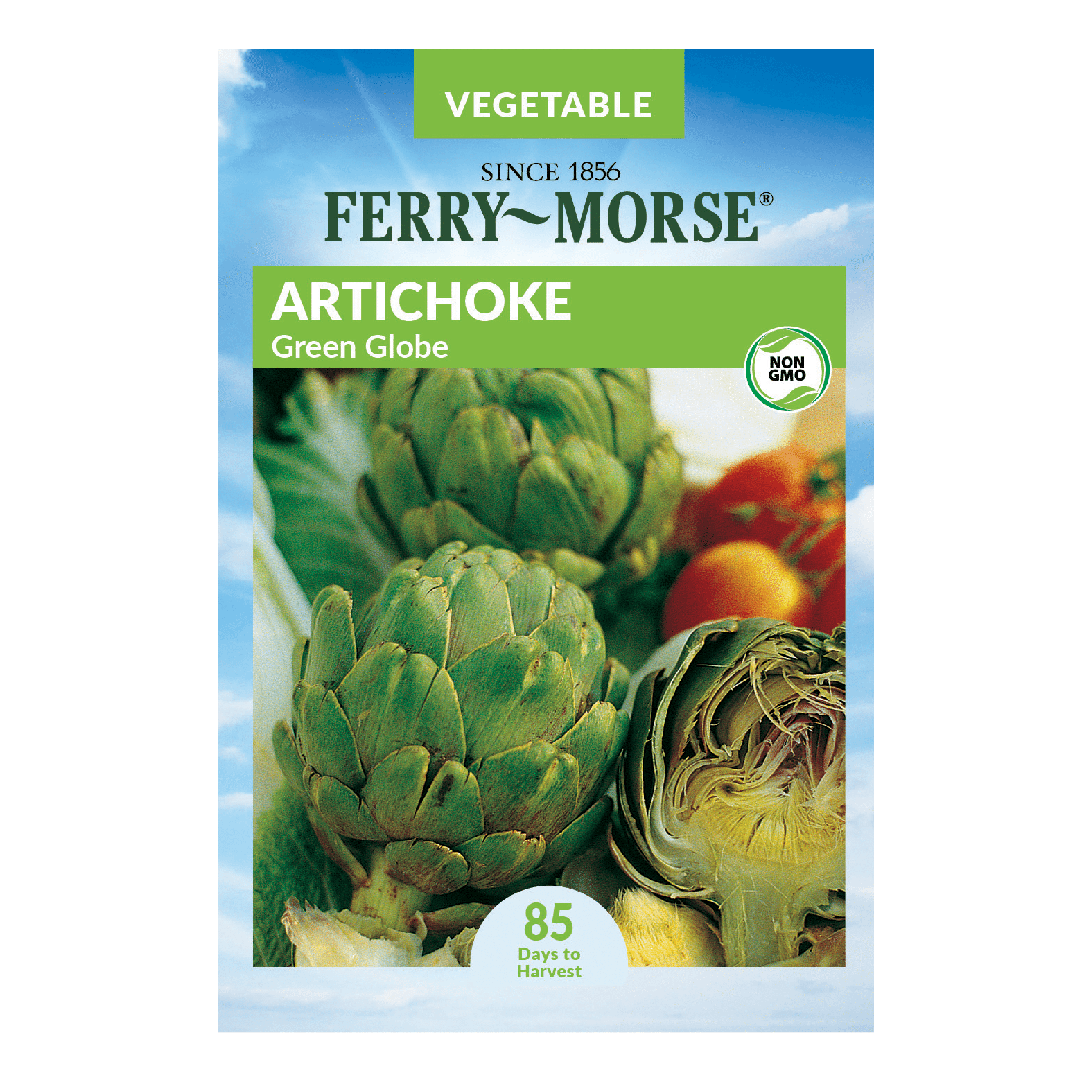 Ferry-Morse 50MG Artichoke Green Globe Vegetable Plants Seeds Packet- Seed Gardening, Full Sunlight