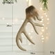 thumbnail image 1 of Deer Antler Christmas Tree Decoration, Hanging Decorations, Window Decoration, Hair Antler Hanging Decorations, 1 of 9