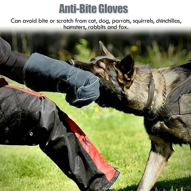 IC ICLOVER Kevlar Reinforced Bite Proof Gloves, for Animal