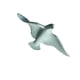 thumbnail image 4 of 3D que cuelga la resina de la gaviota que vuela artesanías Arte de la pared Verde d Zulema Colgante 3D Gaviota voladora, 4 of 8