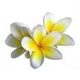 thumbnail image 2 of Frangipani Flower Wall Decal by Wallmonkeys Peel and Stick Graphic (36 in W x 29 in H) WM239262, 2 of 4