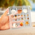 thumbnail image 2 of Caja de Presentación Magnética de Conchas Marinas, Caja de Almacenamiento de Conchas Marinas, Caja Decorativa para Baratijas de Estrellas de Mar, Cuentas, Clavos y Joyas A, 2 of 5